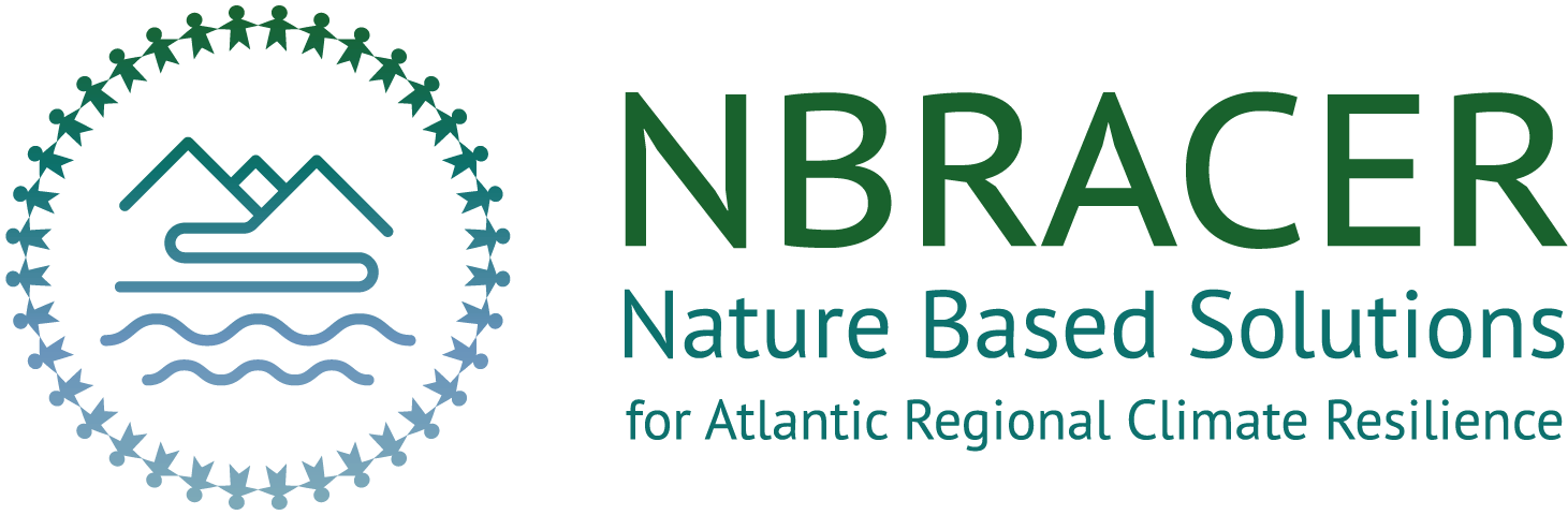 Logo projet NBRACER